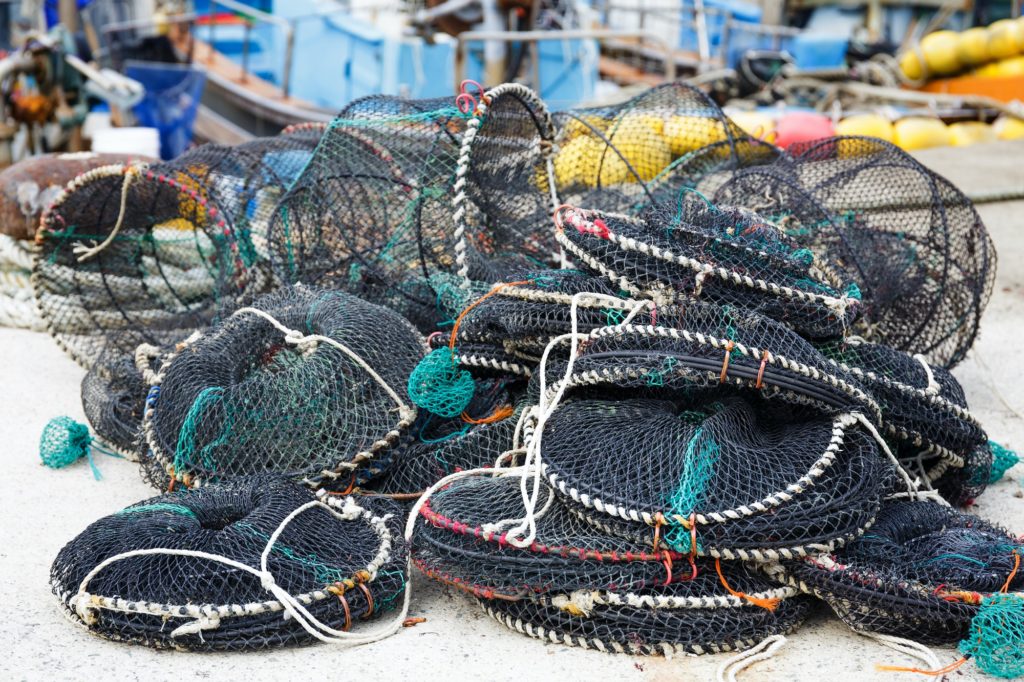 Traps for capture fisheries