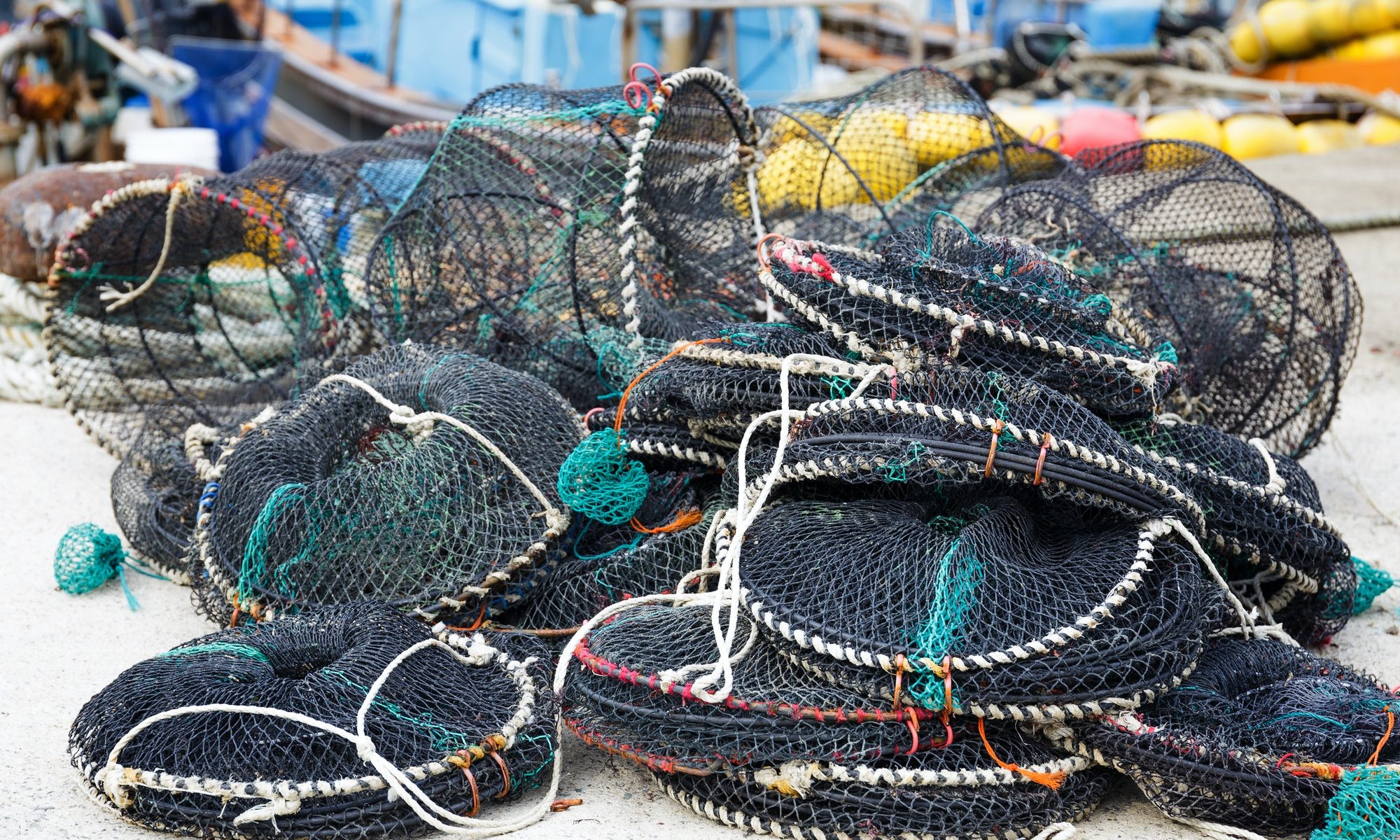 Traps for capture fisheries